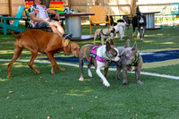 MBJ_Omaha Dog Bar_Leah Thrasher 2025-05-13-1906-27_Kaplan