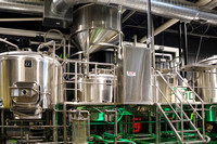 MBJ_Dessie & Marshall Redmond_Full Fledged Brewing Co. 7-18-2023-5983-2_Kaplan